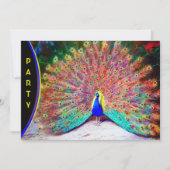 Peacock schilderen Kaart (Voorkant)