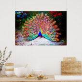 Peacock schilderen Poster (Keuken)