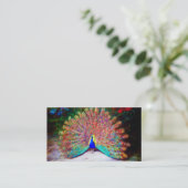 Peacock schilderen Visitekaartje (Staand voorkant)