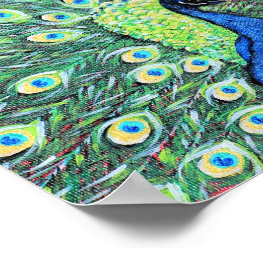 Peacock schilderen weergeven poster (Hoek)