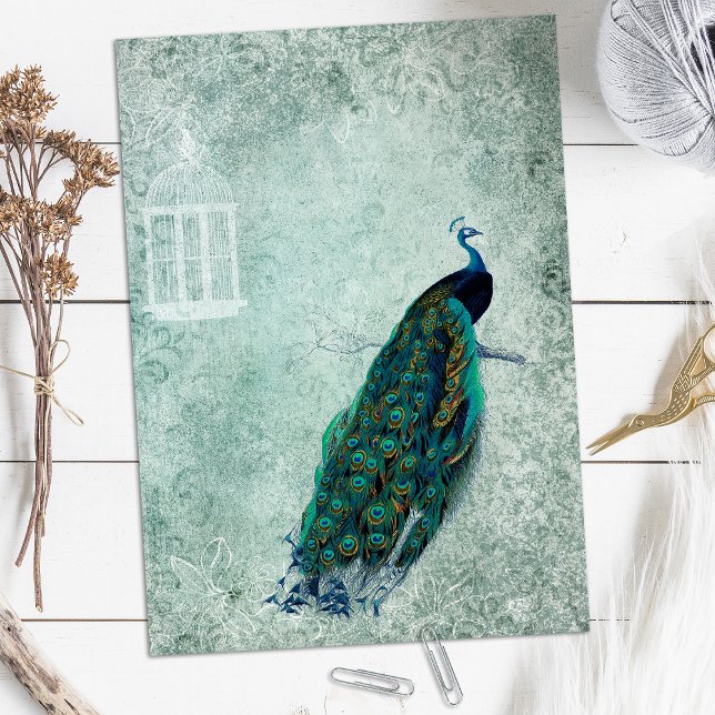 Peacock Scrapbook Paper (Creator heeft geüpload)