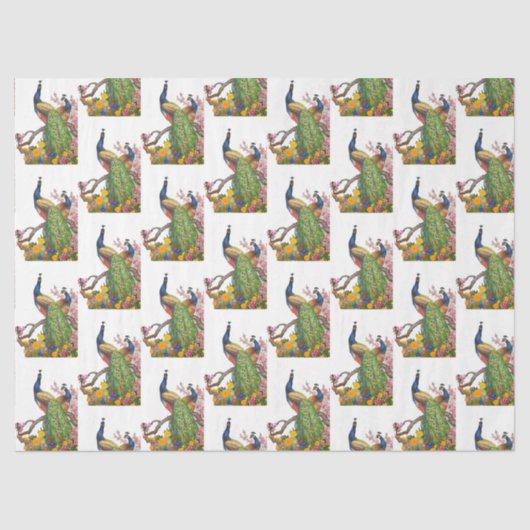 Peacock serie ontwerp 7 tissuepapier (Voorkant)