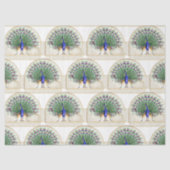 Peacock serie ontwerp 8 tissuepapier (Voorkant)