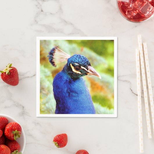 PEACOCK SERVET (Insitu)