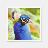 PEACOCK SERVET (Voorkant)