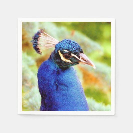 PEACOCK SERVET (Voorkant)