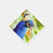 PEACOCK SERVET (Hoek)