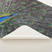 PEACOCK SHERPA DEKEN (3/4)