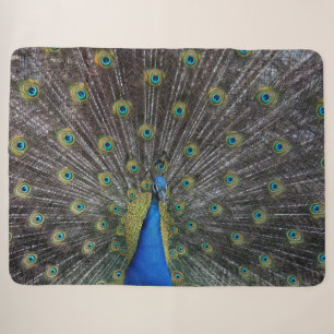 PEACOCK SHERPA DEKEN