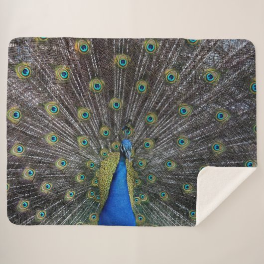 PEACOCK SHERPA DEKEN (Voorkant (horizontaal))