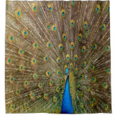 Peacock Shower Curtain Douchegordijn (Voorkant)