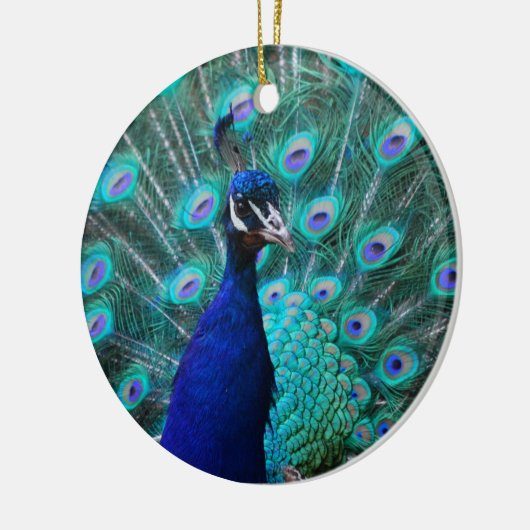  Peacock-sierplant Keramisch Ornament (Links)