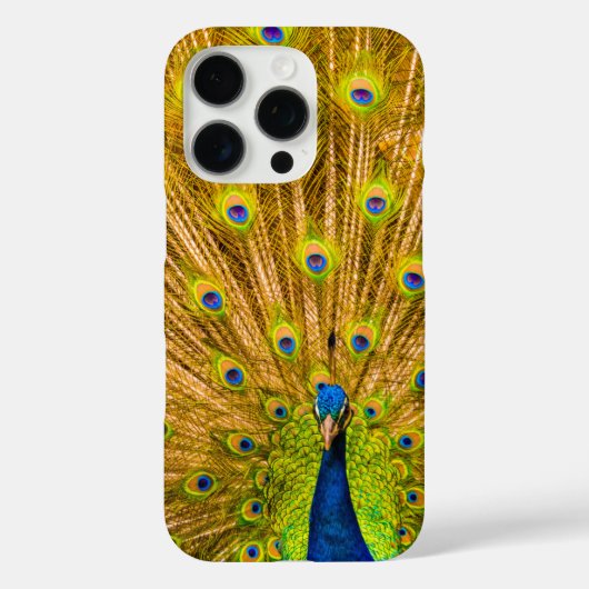 Peacock, Silver Herfsten, Kauai, Hawaii Case-Mate iPhone Case (Achterkant)