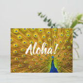 Peacock, Silver Herfsten, Kauai, Hawaii Kaart (Staand voorkant)