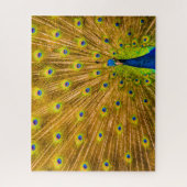 Peacock, Silver Herfsten, Kauai, Hawaii Legpuzzel (Verticaal)