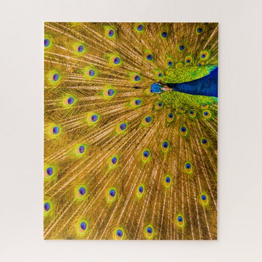 Peacock, Silver Herfsten, Kauai, Hawaii Legpuzzel (Verticaal)