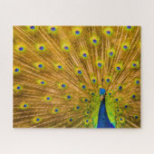 Peacock, Silver Herfsten, Kauai, Hawaii Legpuzzel (Horizontaal)