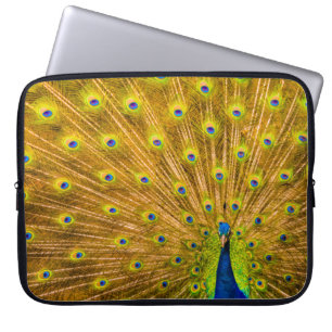 Peacock, Silver Herfsten, Kauai, Hawaiian Wetsuit, Laptop Sleeve