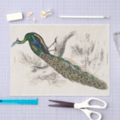 Peacock Sir William Jardine Antiek Tissuepapier (Craft)