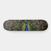 Peacock Skateboard (Horizontaal)