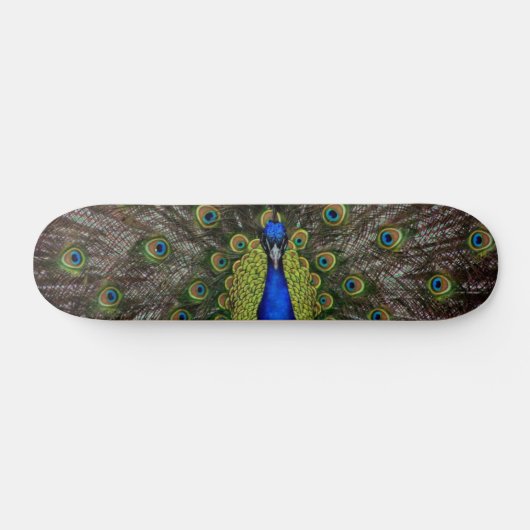 Peacock Skateboard (Horizontaal)