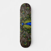 Peacock Skateboard (Voorkant)