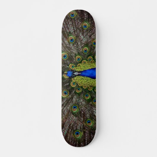 Peacock Skateboard (Voorkant)