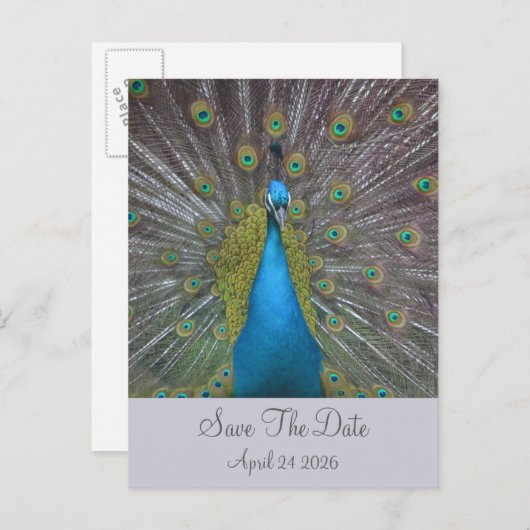 Peacock Sla de datum op Aankondigingskaart (Voorkant / Achterkant)