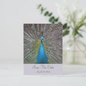 Peacock Sla de datum op Aankondigingskaart (Staand voorkant)