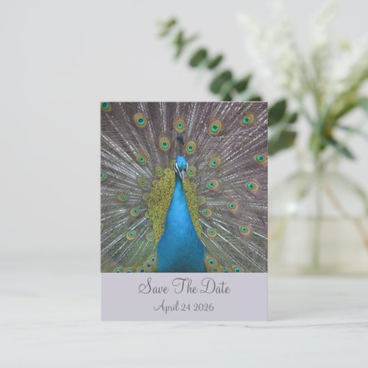 Peacock Sla de datum op Aankondigingskaart (Staand voorkant)