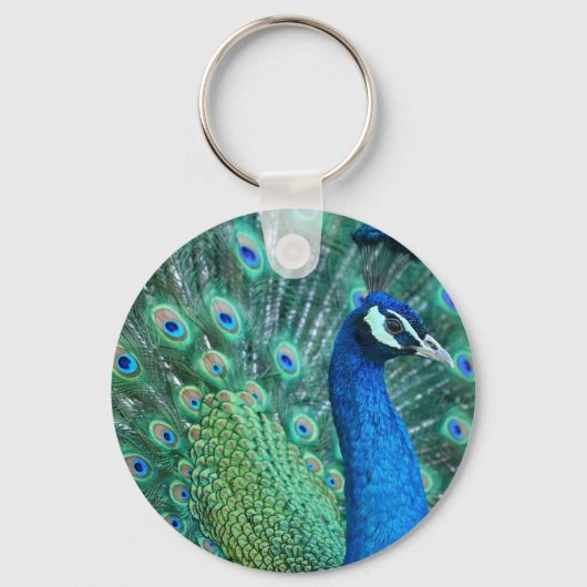 Peacock Sleutelhanger (Voorkant)
