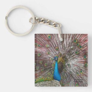 Peacock Sleutelhanger
