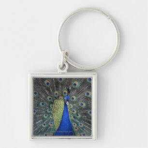 Peacock Sleutelhanger