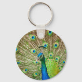 Peacock Sleutelhanger (Voorkant)