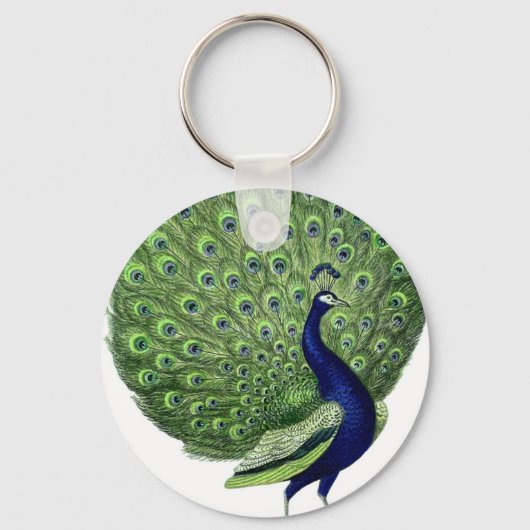 Peacock Sleutelhanger (Voorkant)