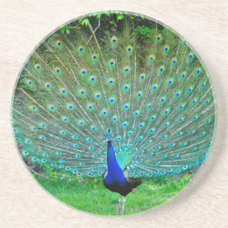 Peacock Slight Zandsteen Onderzetter