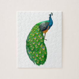 Peacock Small Legpuzzel