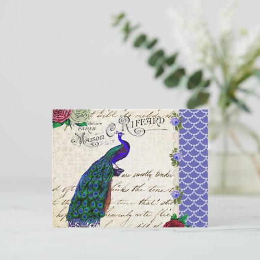  Peacock Song Collage Briefkaart (Staand voorkant)