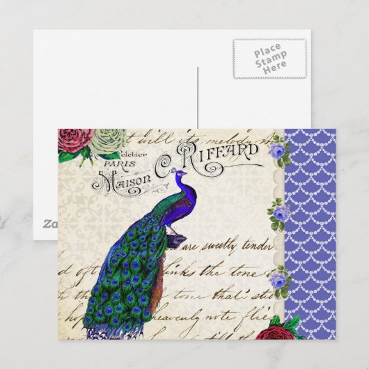  Peacock Song Collage Briefkaart (Voorkant / Achterkant)