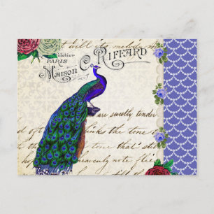 Peacock Song Collage Briefkaart