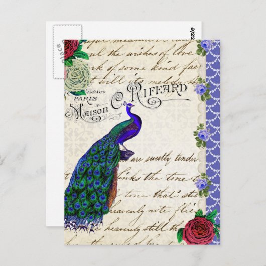  Peacock Song Collage Briefkaart (Voorkant / Achterkant)