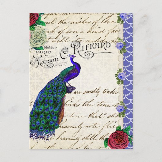 Peacock Song Collage Briefkaart (Voorkant)