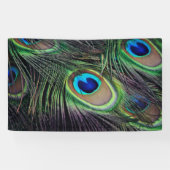 Peacock Spandoek (Horizontaal)