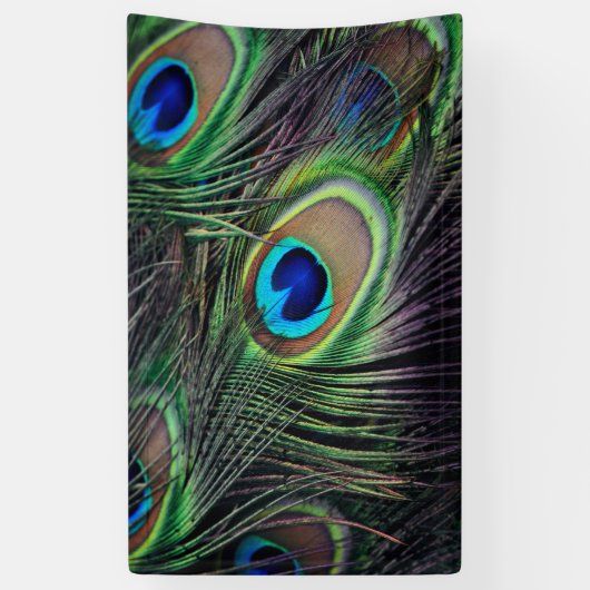Peacock Spandoek (Verticaal)