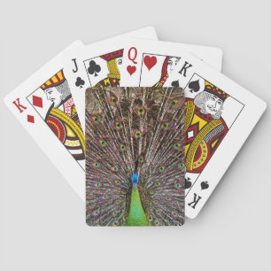 Peacock Speelkaarten