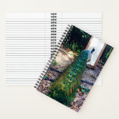 Peacock Spiegel Hard Hoesje Notitieboek (Binnen)