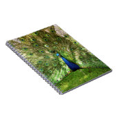 Peacock Spiral notebook Notitieboek (Rechterzijde)