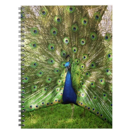 Peacock Spiral notebook Notitieboek (Voorkant)