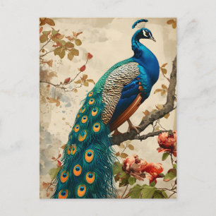  Peacock Splendor Briefkaart
