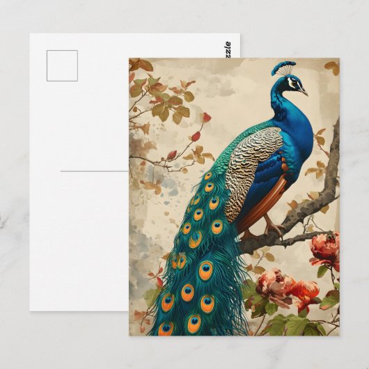  Peacock Splendor Briefkaart (Voorkant / Achterkant)